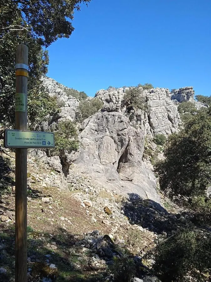 Guest house Pension La Sierra Cortes de la Frontera