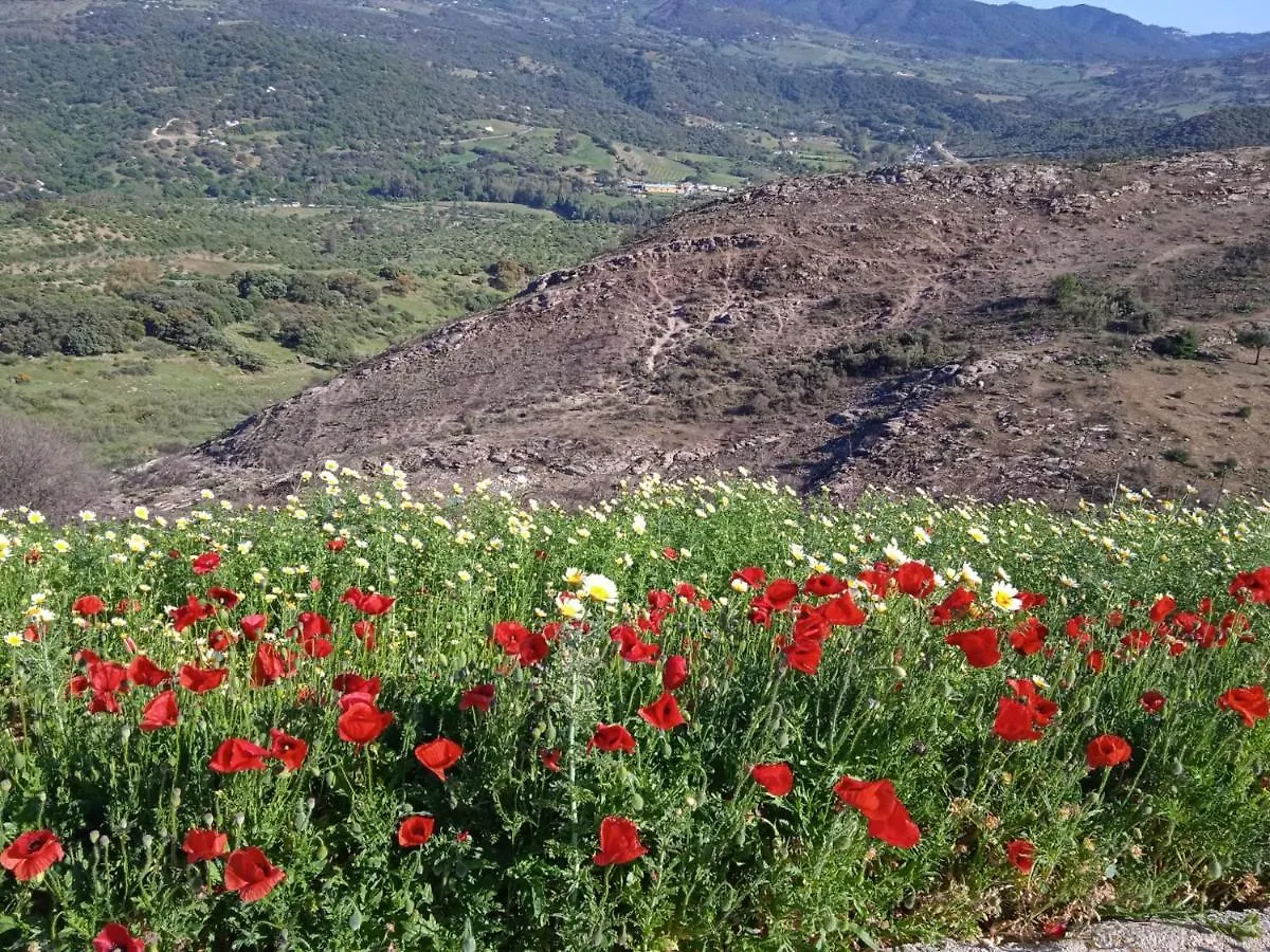 Pensión Pension La Sierra Cortes de la Frontera España